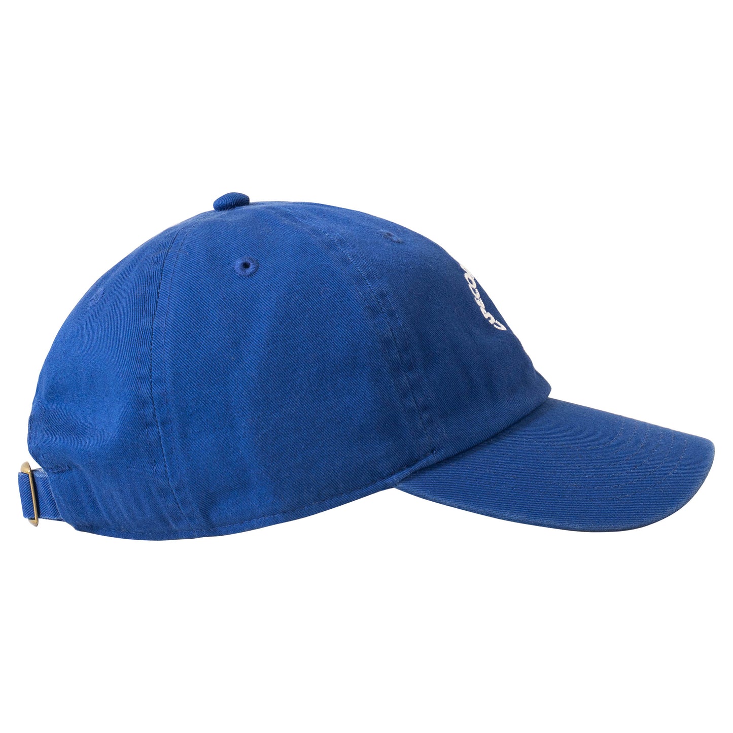 Circle Logo 6 Panel - Blue
