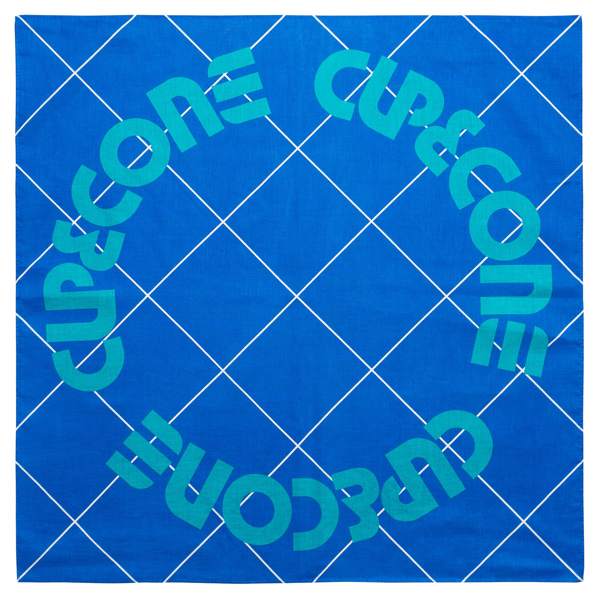 Big Blue Bandana 2