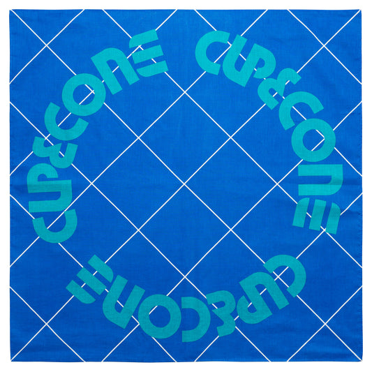 Big Blue Bandana 2