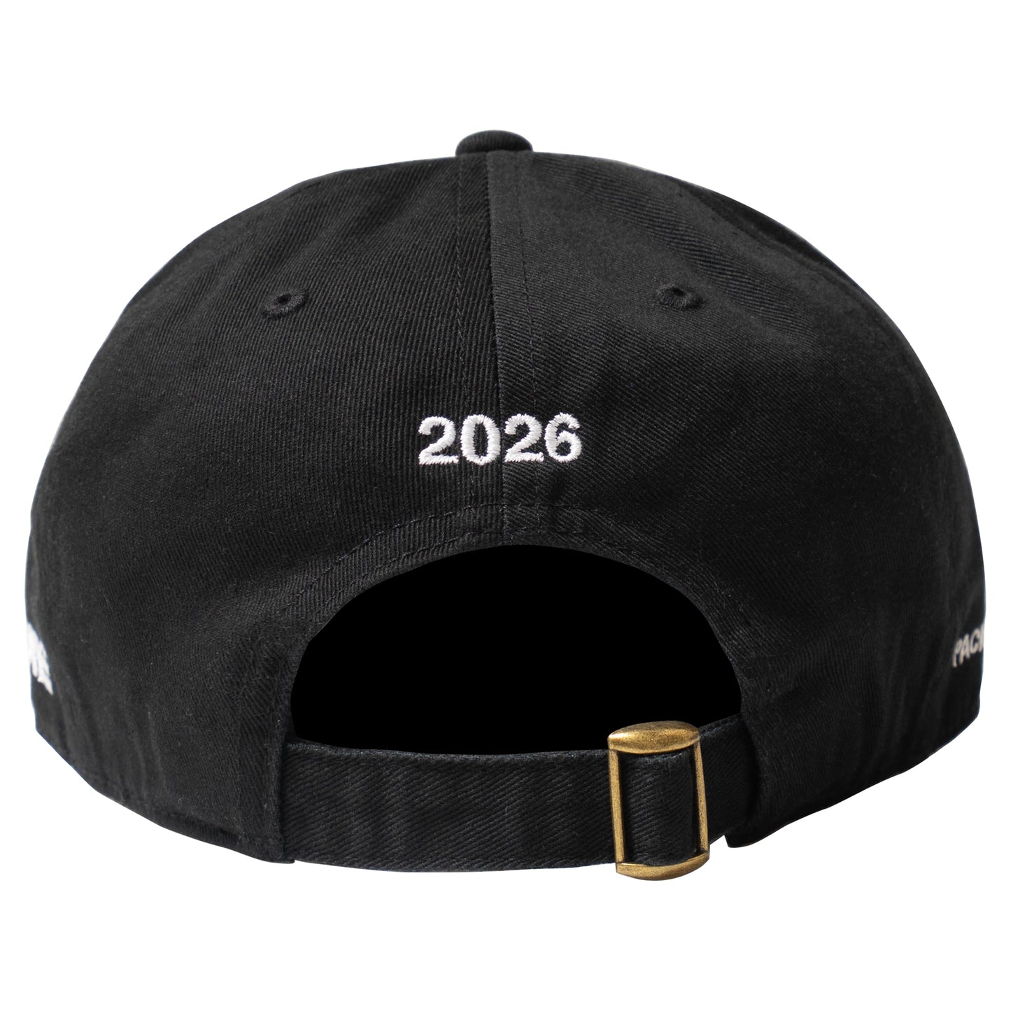 Earth Man 6 Panel - Black