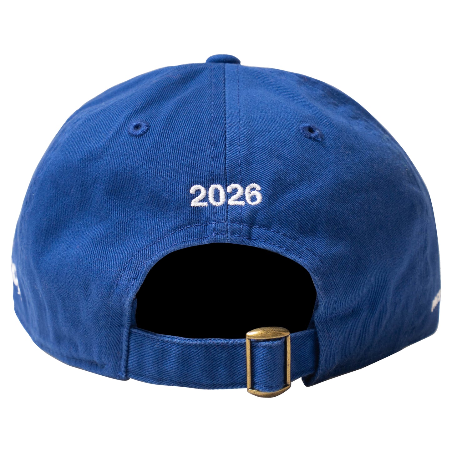 Earth Man 6 Panel - Blue